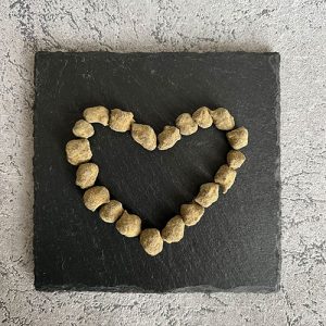 What are Moon Rocks โ and what makes them so special?