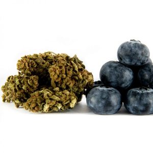 CBD Buds Blueberry CBD-blue-berry 1