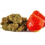 Strawberry CBD Buds 1