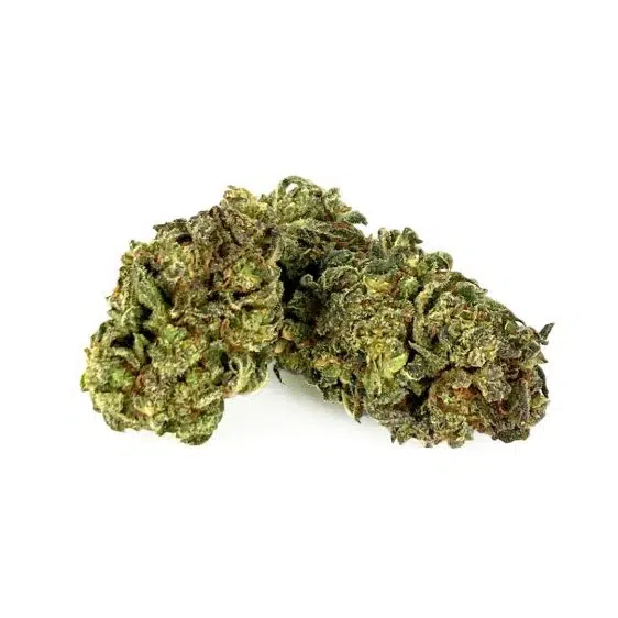 15% CBG/CBD White Rhino CBD-CBG-white-rhino 1