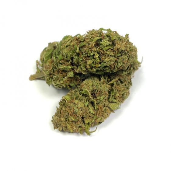 CBN Buds Jack Herer 1