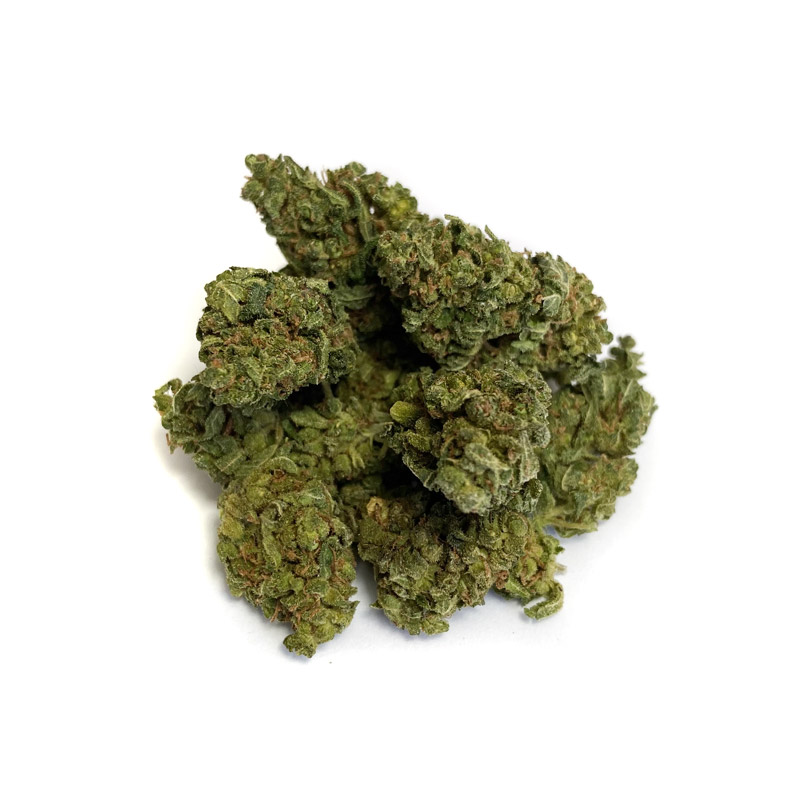 CBN Buds Cheese cbn-buds-cheese 1