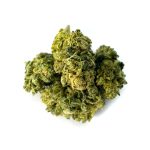 CBN Buds Mango Haze cbn-buds-mango-haze 1